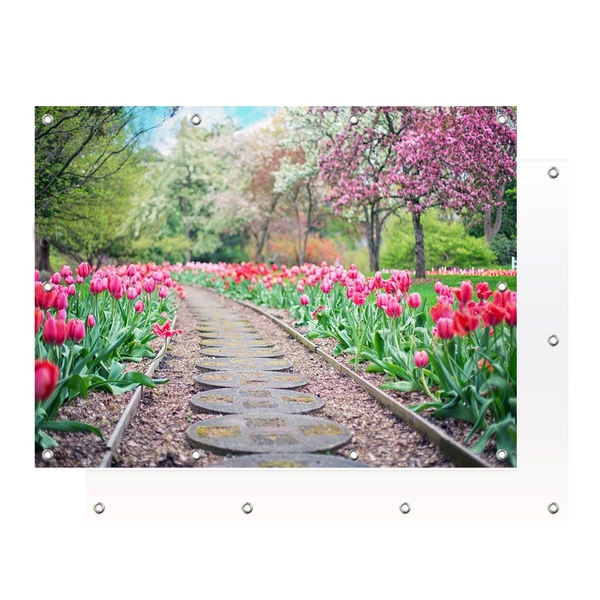 Tuinposter met eigen foto aan de muur - HEMA Tuinposter Met Eigen Foto Aan De Muur - Hema