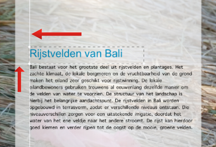 uitlijnen tekst