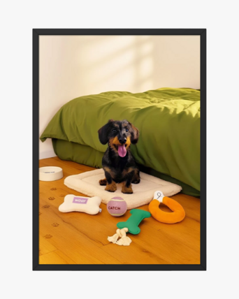 home-populaire-producten-postermetlijst-1600x2000-2025-wk4142 kopie